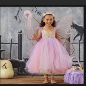 Butterfly Fairy Costume
